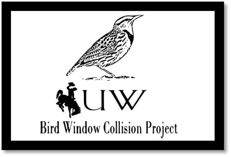 Alt text for image: UW Bird Window Collision Project logo which is a drawing of the state bird with university logo of a cowboy riding a horse.